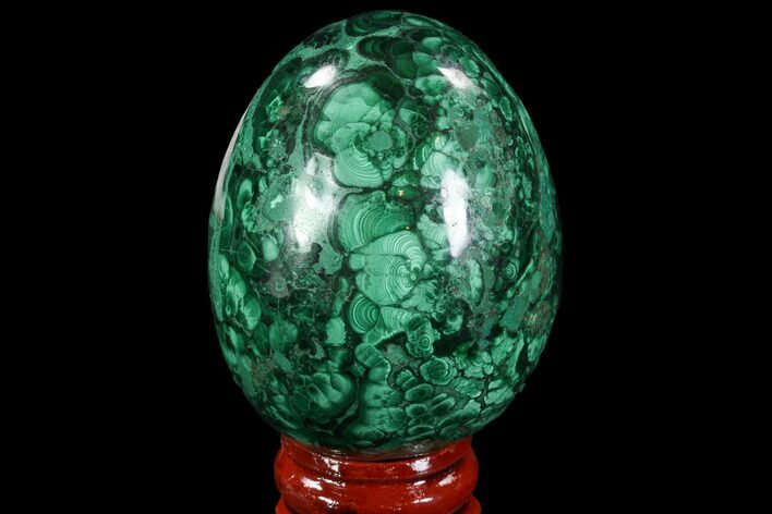 Stunning Polished Malachite Egg - Congo #89662